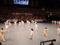 綜合太極拳,劍及段位對打套路  綜合太極拳,劍及段位對打套路