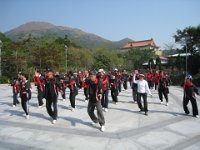 IMG 0238