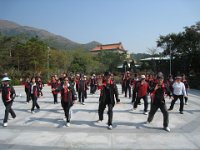 IMG 0239