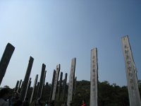 IMG 0243